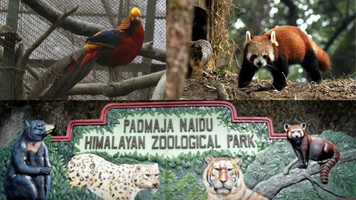 zoological-park