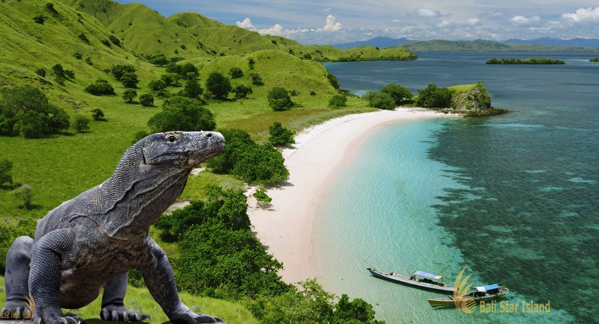komodo national park